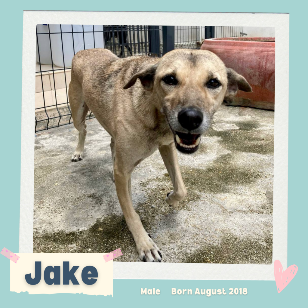 Jake