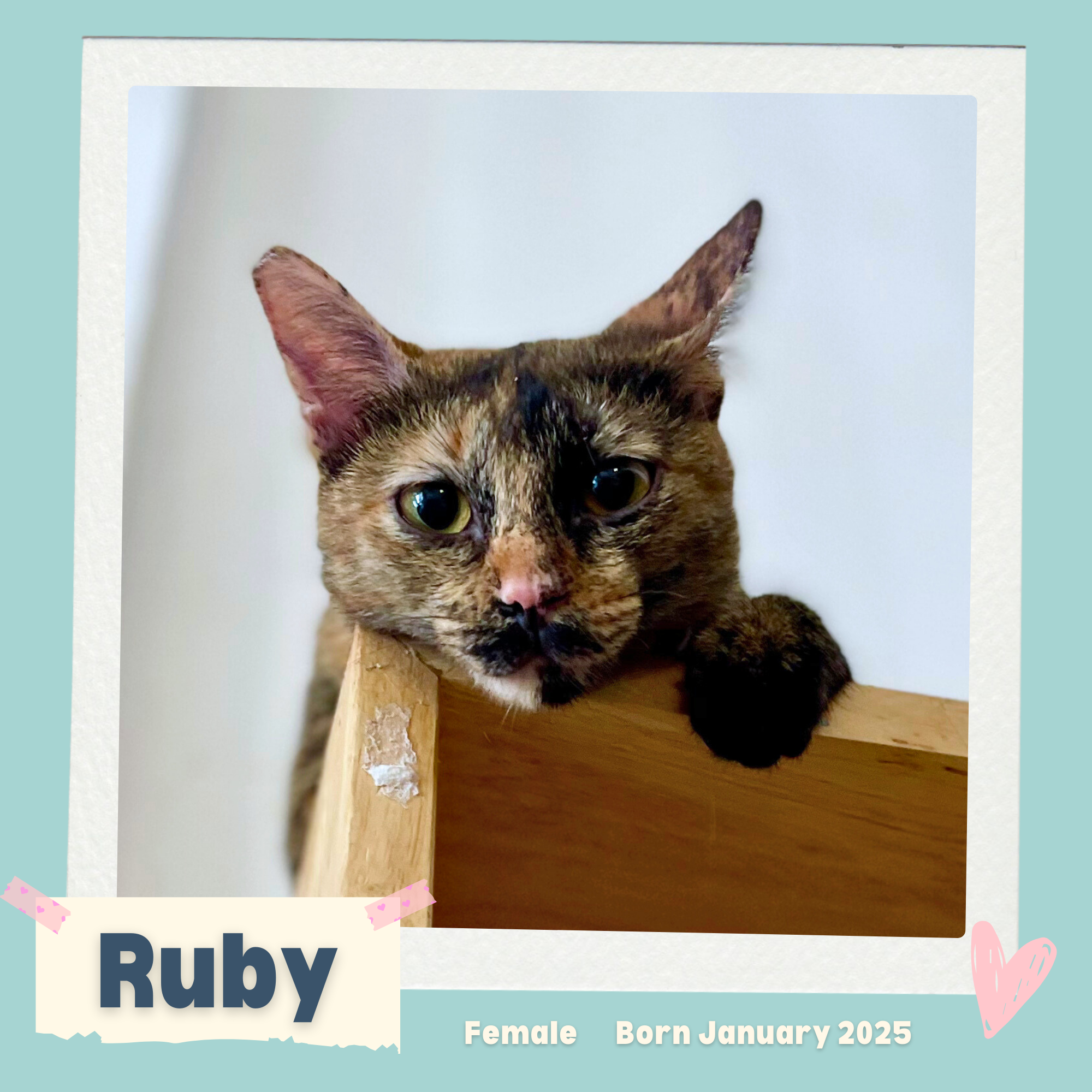 Ruby