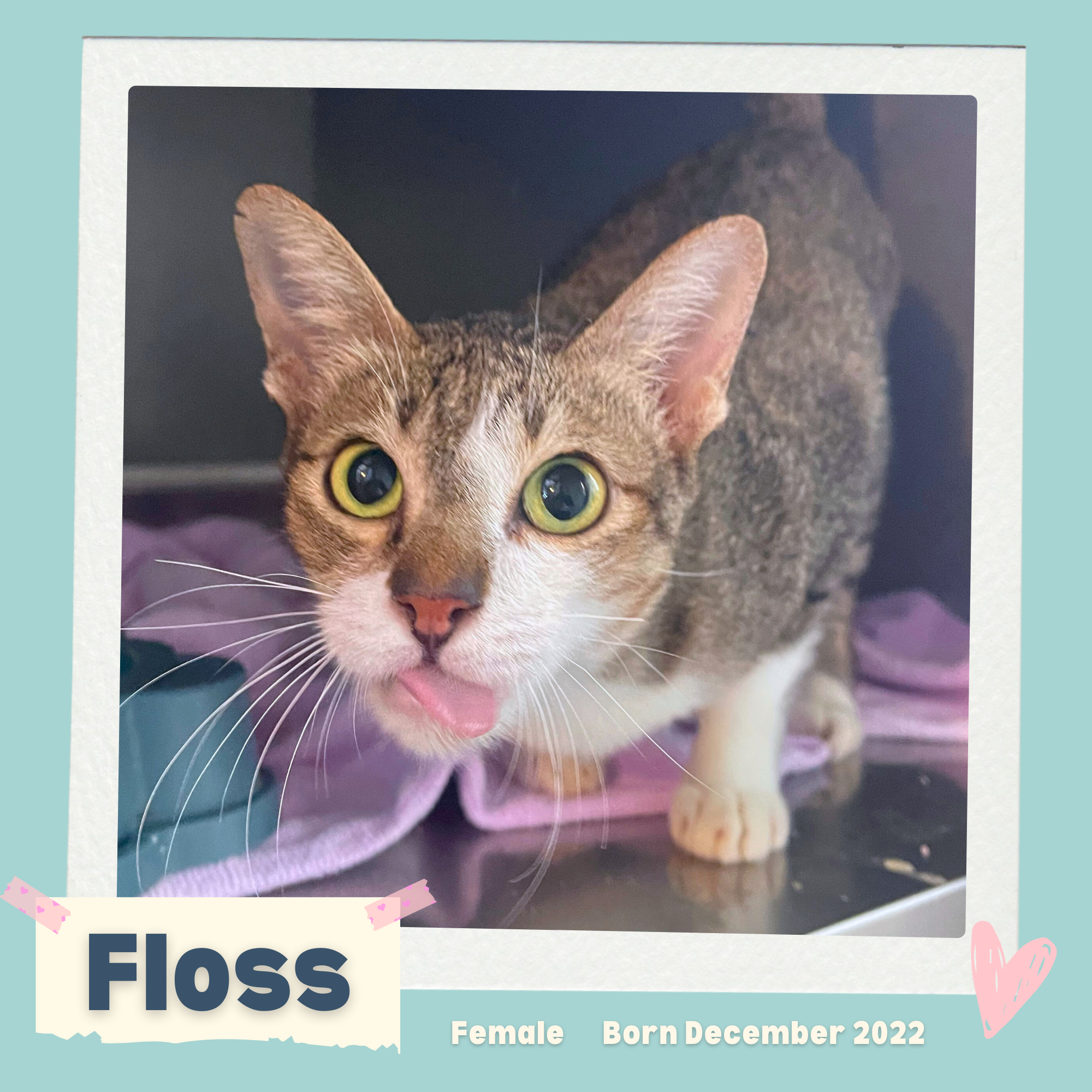 Floss