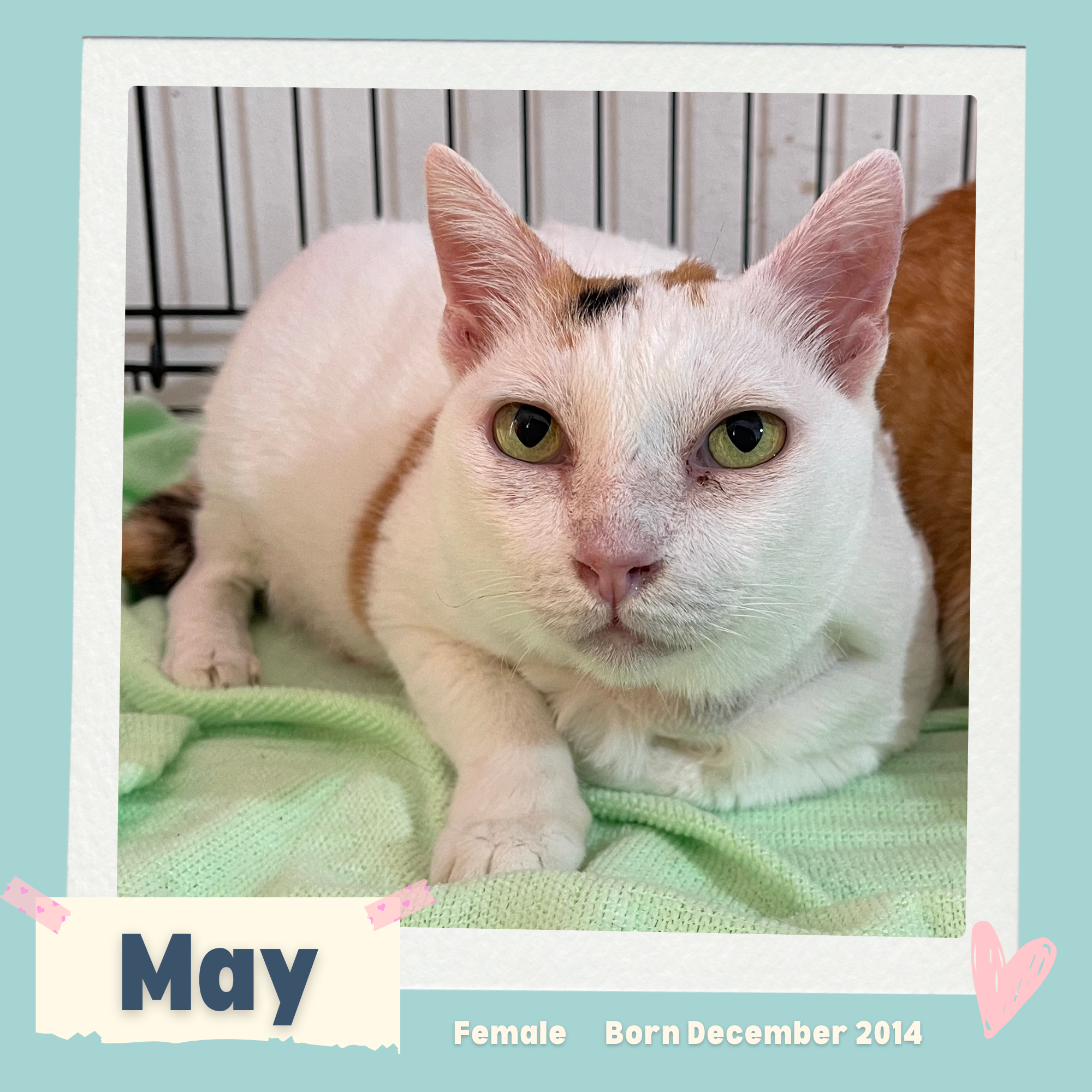 May